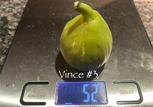 IMG_4921.jpeg
