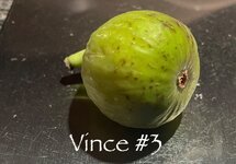 IMG_4922.jpeg