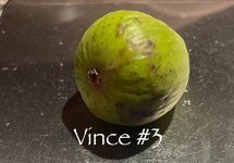 IMG_4923.jpeg