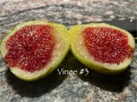 IMG_4924.jpeg