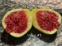 IMG_4926.jpeg