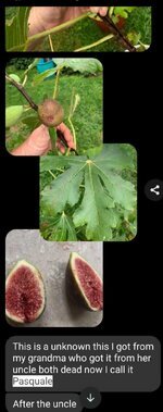 IMG_9086.jpeg