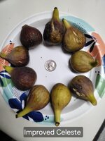 20250808_201711.jpg