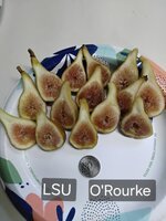 20250731_102110.jpg