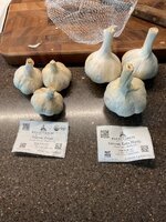 IMG_2666.jpeg IMG_2666.jpeg