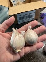 IMG_2668.jpeg IMG_2668.jpeg