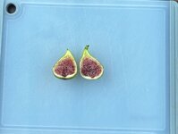 IMG_4039.jpeg