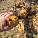 20250920_122553.jpg 20250920_122553.jpg