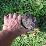 20250920_122709.jpg 20250920_122709.jpg