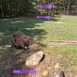 20250920_122628.JPG 20250920_122628.JPG