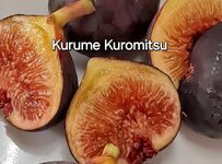 1000011697.jpg 1000011697.jpg