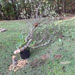 20250927_093751.jpg 20250927_093751.jpg