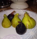 1000014215.jpg 1000014215.jpg