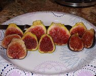 1000014219.jpg 1000014219.jpg