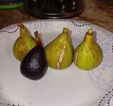 1000014268.jpg 1000014268.jpg