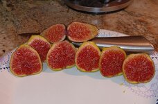 1000014272.jpg 1000014272.jpg