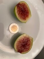 IMG_2441.jpeg