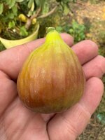 IMG_9830.jpeg