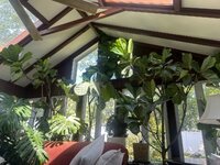 IMG_4154.jpeg