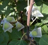IMG_4077.jpeg