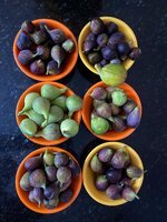 IMG_4078.jpeg