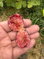 IMG_9223.jpeg IMG_9223.jpeg