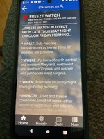 IMG_2712.jpeg IMG_2712.jpeg