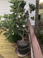 IMG_3048.jpeg IMG_3048.jpeg