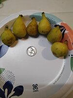 20250816_205632.jpg