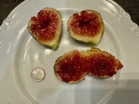 IMG_1470.jpg