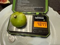 IMG_1473.jpg