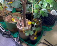 Moisture meters upstairs.png