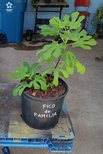 20250721_131426.jpg 20250721_131426.jpg