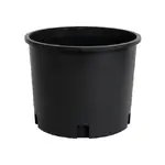 injected.webp injected.webp