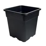 square.webp square.webp