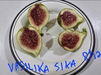 2025-08-12 23.47.02.jpg