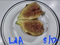 2025-08-12 23.49.36.jpg