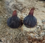 20251016_202915.jpg 20251016_202915.jpg