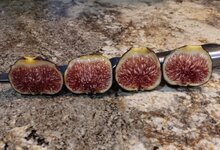 20251016_2038.jpg 20251016_2038.jpg