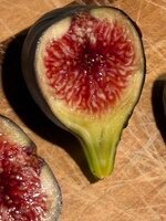 IMG_0028.jpeg IMG_0028.jpeg