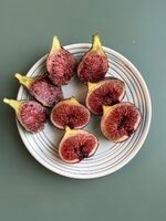 IMG_0037.jpeg IMG_0037.jpeg