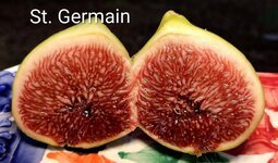 IMG_20251022_152902_MP~2.jpg IMG_20251022_152902_MP~2.jpg