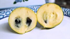 PXL_20250822_001506774.PORTRAIT~2 (1).jpg