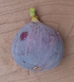 Screenshot_20251030_152537_Gallery.jpg Screenshot_20251030_152537_Gallery.jpg