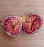 Screenshot_20251030_152605_Gallery.jpg Screenshot_20251030_152605_Gallery.jpg