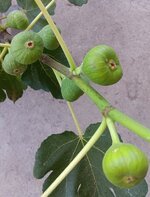 20251009_135829.jpg 20251009_135829.jpg