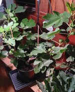 1000015591.jpg 1000015591.jpg