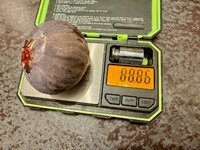 IMG_1560.jpg IMG_1560.jpg