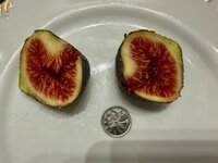 IMG_1561.jpg IMG_1561.jpg