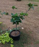 20251023_113610.jpg 20251023_113610.jpg